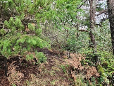 In-town vacant lot with potential Ocean views! Conveniently - photo 7