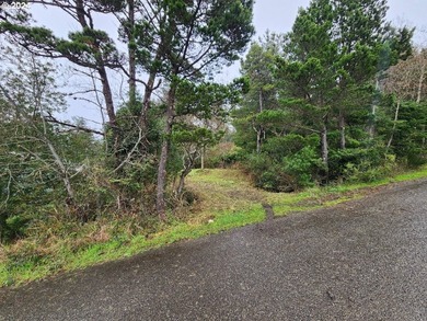 In-town vacant lot with potential Ocean views! Conveniently - photo 9