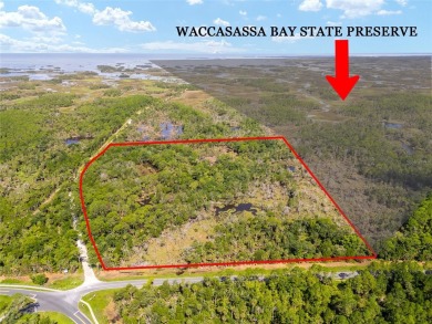 24.75 Acres in City of Yankeetown, FL offers road frontage on 2 - photo 1