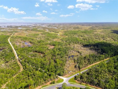 24.75 Acres in City of Yankeetown, FL offers road frontage on 2 - photo 3