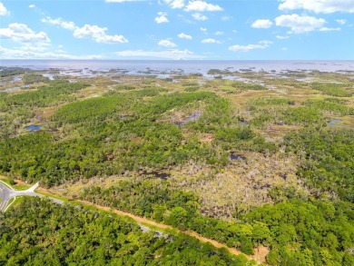 24.75 Acres in City of Yankeetown, FL offers road frontage on 2 - photo 5