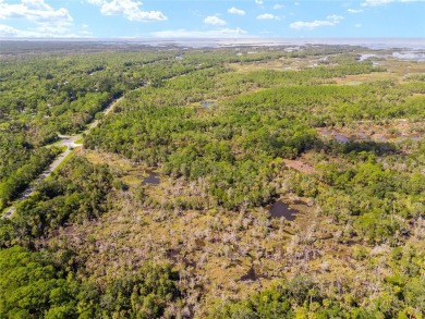 24.75 Acres in City of Yankeetown, FL offers road frontage on 2 - photo 6