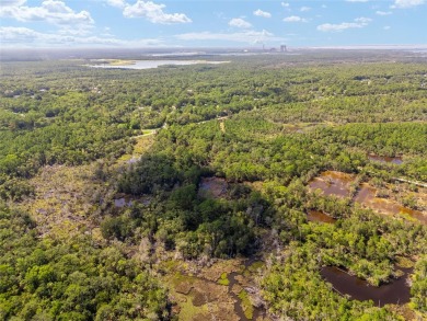 24.75 Acres in City of Yankeetown, FL offers road frontage on 2 - photo 7