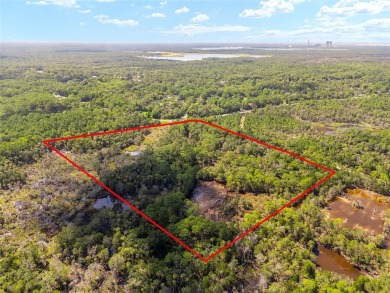 24.75 Acres in City of Yankeetown, FL offers road frontage on 2 - photo 9