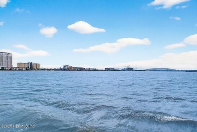 Luxury Riverfront Condominium with Stunning Views & High-End - photo 31
