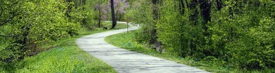 Welcome to the paradise. Resort-style living at its finest in - photo 36