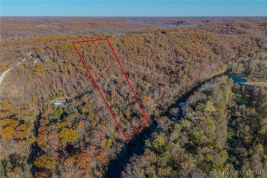 Niangua River Acreage For Sale in Lebanon Missouri