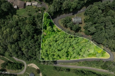 (private lake, pond, creek) Lot For Sale in Butler Tennessee