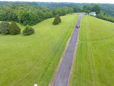 3 Lots Sold Together Close to Lake Cumberland Marina - photo 11
