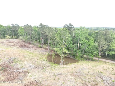 This 113+/- acre tract in Smith County, Mississippi, consists - photo 11