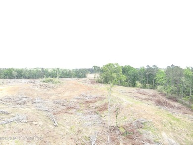This 113+/- acre tract in Smith County, Mississippi, consists - photo 12