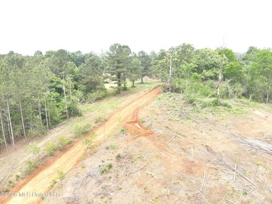 This 113+/- acre tract in Smith County, Mississippi, consists - photo 13