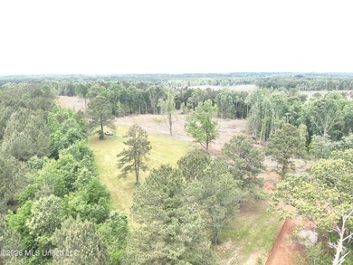 This 113+/- acre tract in Smith County, Mississippi, consists - photo 14