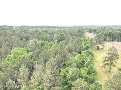 This 113+/- acre tract in Smith County, Mississippi, consists - photo 15