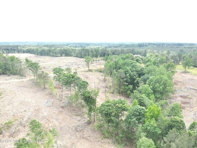 This 113+/- acre tract in Smith County, Mississippi, consists - photo 16