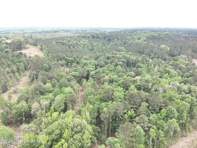 This 113+/- acre tract in Smith County, Mississippi, consists - photo 17