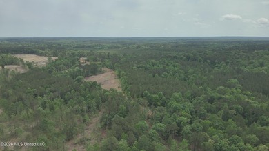 This 113+/- acre tract in Smith County, Mississippi, consists - photo 18