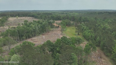 This 113+/- acre tract in Smith County, Mississippi, consists - photo 19