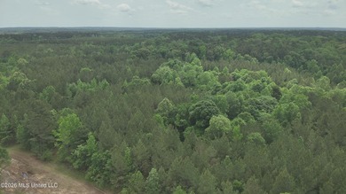 This 113+/- acre tract in Smith County, Mississippi, consists - photo 20