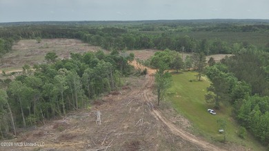 This 113+/- acre tract in Smith County, Mississippi, consists - photo 21