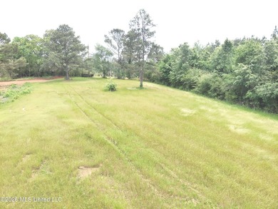 This 113+/- acre tract in Smith County, Mississippi, consists - photo 22