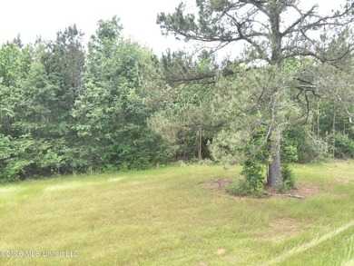This 113+/- acre tract in Smith County, Mississippi, consists - photo 23
