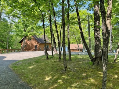 Peaceful Northwoods lake living at its finest. Tucked among - photo 3