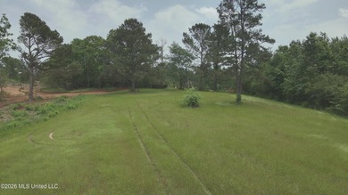 This 113+/- acre tract in Smith County, Mississippi, consists - photo 24