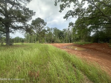 This 113+/- acre tract in Smith County, Mississippi, consists - photo 26