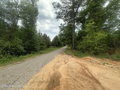 This 113+/- acre tract in Smith County, Mississippi, consists - photo 27