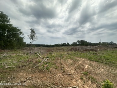 This 113+/- acre tract in Smith County, Mississippi, consists - photo 28