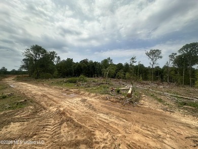 This 113+/- acre tract in Smith County, Mississippi, consists - photo 29