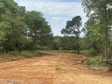 This 113+/- acre tract in Smith County, Mississippi, consists - photo 30