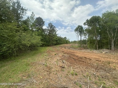 This 113+/- acre tract in Smith County, Mississippi, consists - photo 31