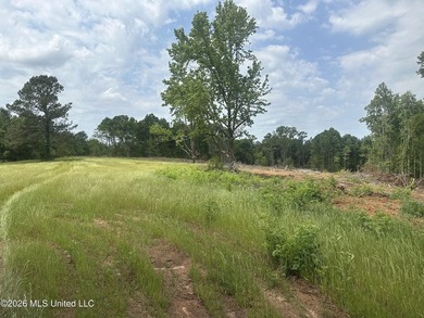 This 113+/- acre tract in Smith County, Mississippi, consists - photo 32