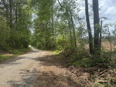 This 113+/- acre tract in Smith County, Mississippi, consists - photo 33