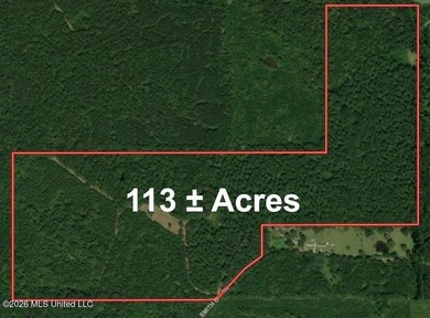 This 113+/- acre tract in Smith County, Mississippi, consists - photo 34