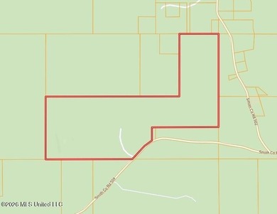 This 113+/- acre tract in Smith County, Mississippi, consists - photo 35