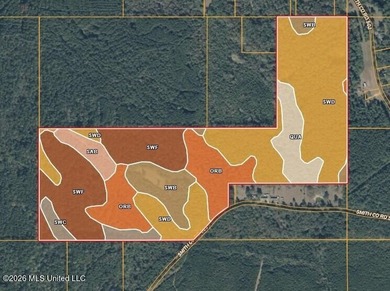This 113+/- acre tract in Smith County, Mississippi, consists - photo 36