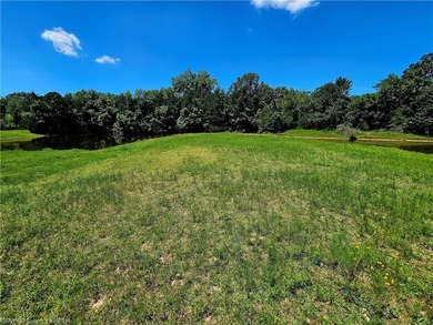 22+/- acres, Beautiful Pond, Privacy and so much more. Property - photo 2