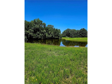 22+/- acres, Beautiful Pond, Privacy and so much more. Property - photo 3