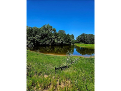 22+/- acres, Beautiful Pond, Privacy and so much more. Property - photo 5