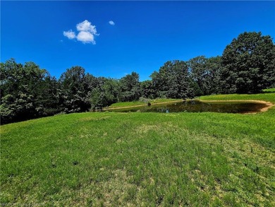 22+/- acres, Beautiful Pond, Privacy and so much more. Property - photo 6