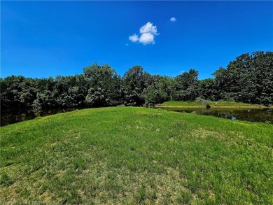 22+/- acres, Beautiful Pond, Privacy and so much more. Property - photo 7