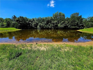 22+/- acres, Beautiful Pond, Privacy and so much more. Property - photo 8
