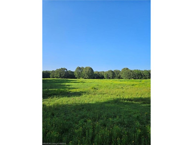 22+/- acres, Beautiful Pond, Privacy and so much more. Property - photo 10