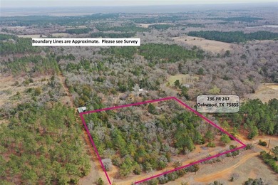 Experience true serenity on a heavily wooded 10.16 acres made - photo 10