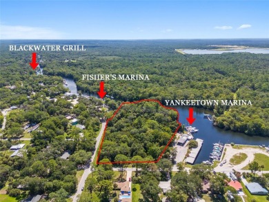 Withlacoochee River Acreage For Sale in Yankeetown Florida