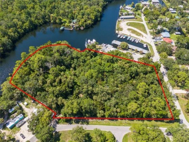 Serene setting in the heart of the Nature Coast of Florida!  5 - photo 3