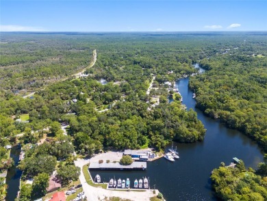 Serene setting in the heart of the Nature Coast of Florida!  5 - photo 4